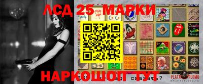 spice Обнинск