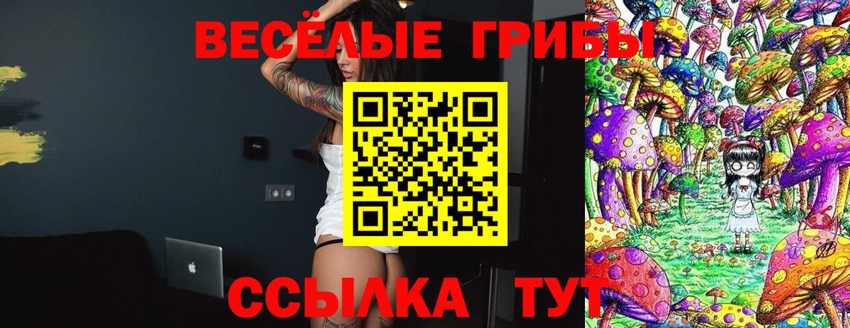 Галлюциногенные грибы MAGIC MUSHROOMS Сухой Лог