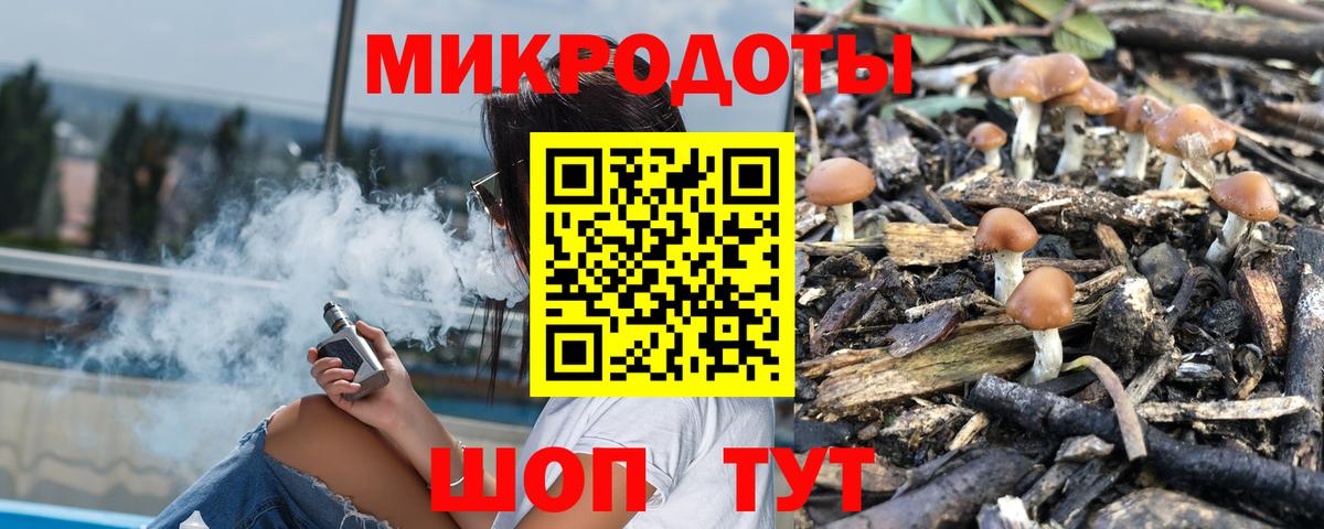 Сухой Лог  Псилоцибиновые грибы мицелий  Галлюциногенные грибы Cubensis  где купить наркоту  Вход с VPN 